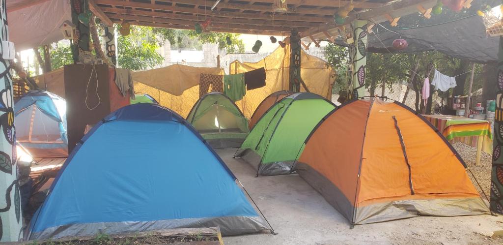 Hostal y Camping Las G